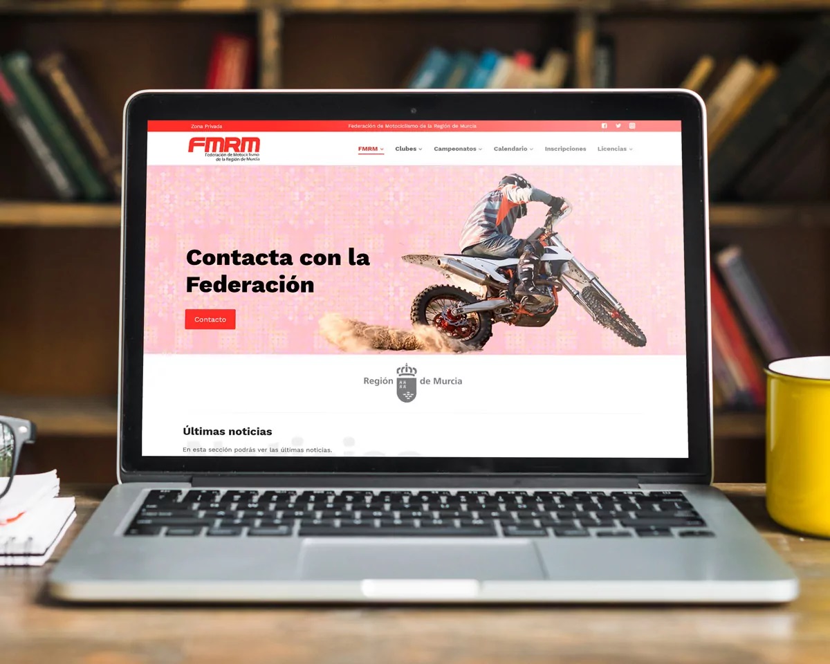 Stelis Technologies Servicio asistencia y mantenimiento